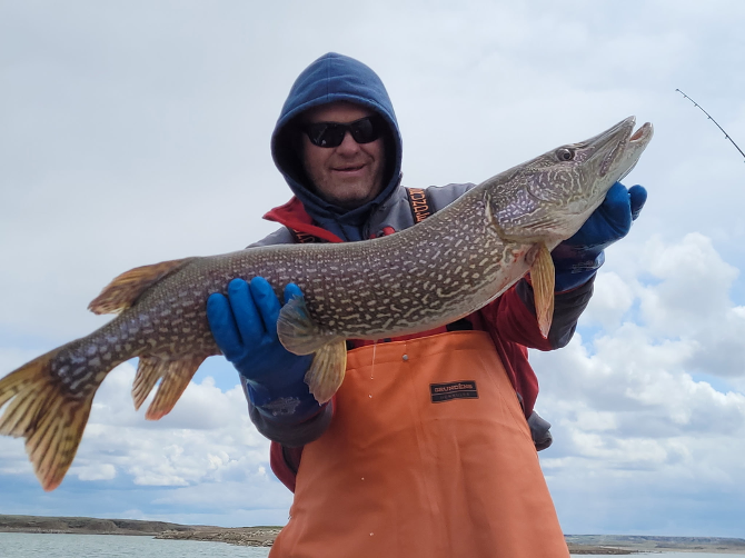 An angler holding up a fresh catch on Fort Peck Lake